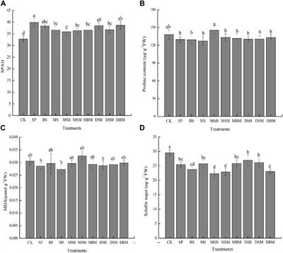 Effect of the application of peanut shell, bamboo, and maize straw biochars on the bioavailability of Cd and growth of maize in Cd-contaminated soil